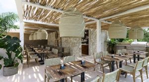 Render o imagen número  8